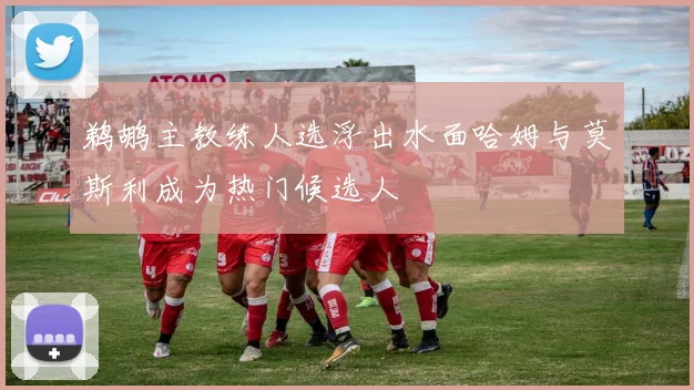 鹈鹕主教练人选浮出水面哈姆与莫斯利成为热门候选人